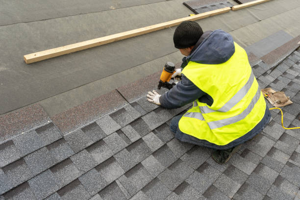 Best Roof Moss and Algae Removal  in Halls, TN