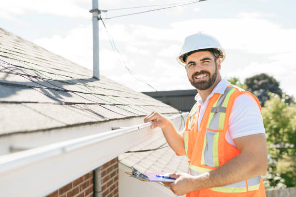 Best Solar Panel Roofing Installation  in Halls, TN