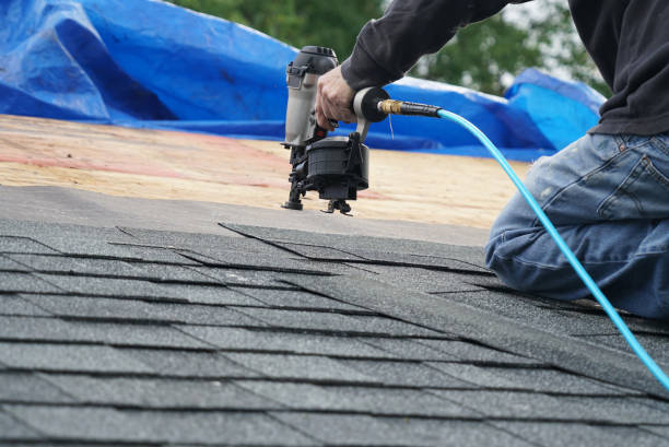 Best Roof Installation  in Halls, TN